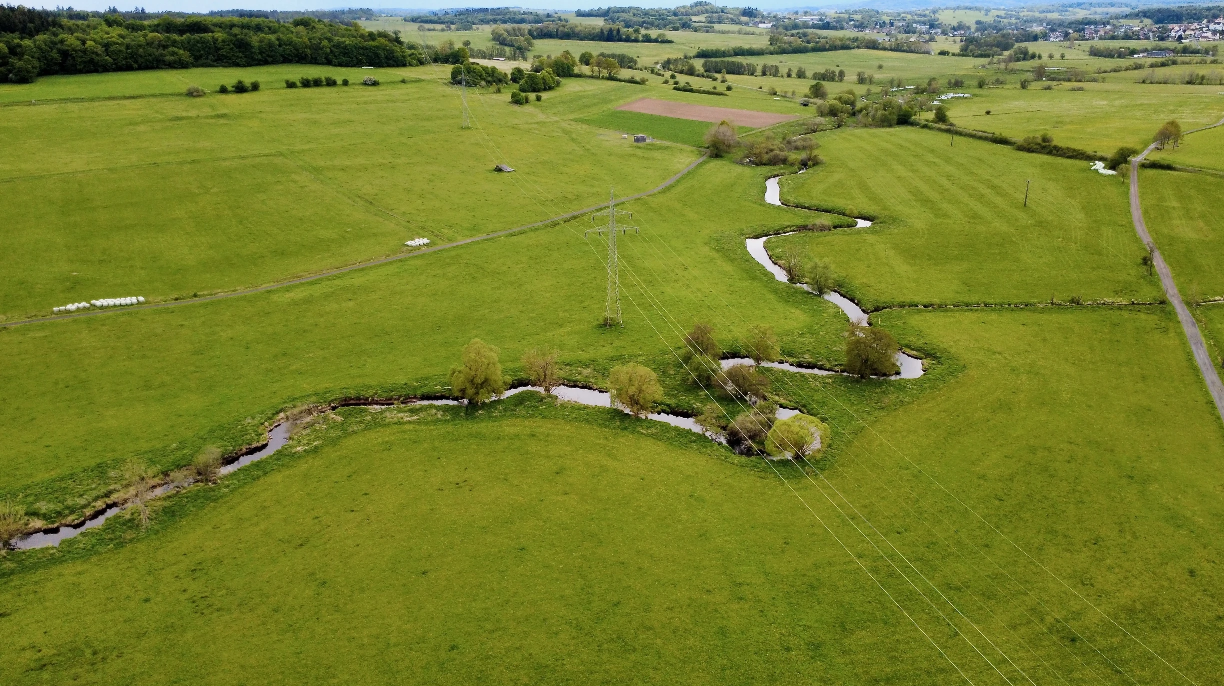A wide view of a small creek winding through a lush, green landscape. 