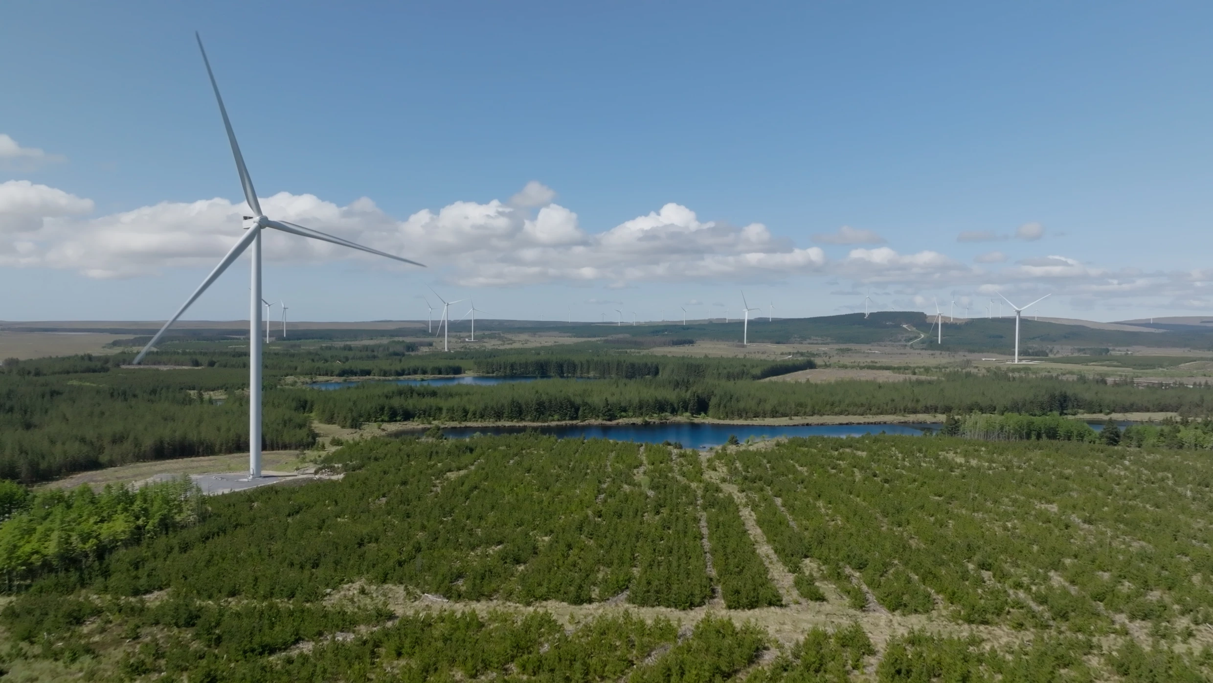 Wind turbines stand in a green forested area with small bodies of water.