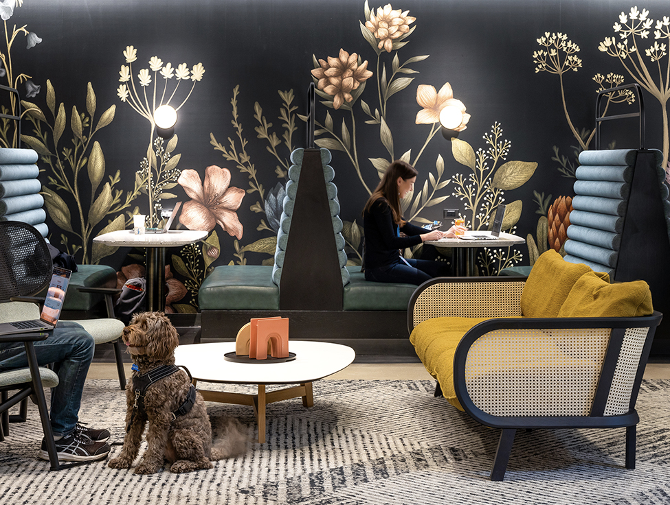 Two people and a dog are shown in a floral-themed seating area.