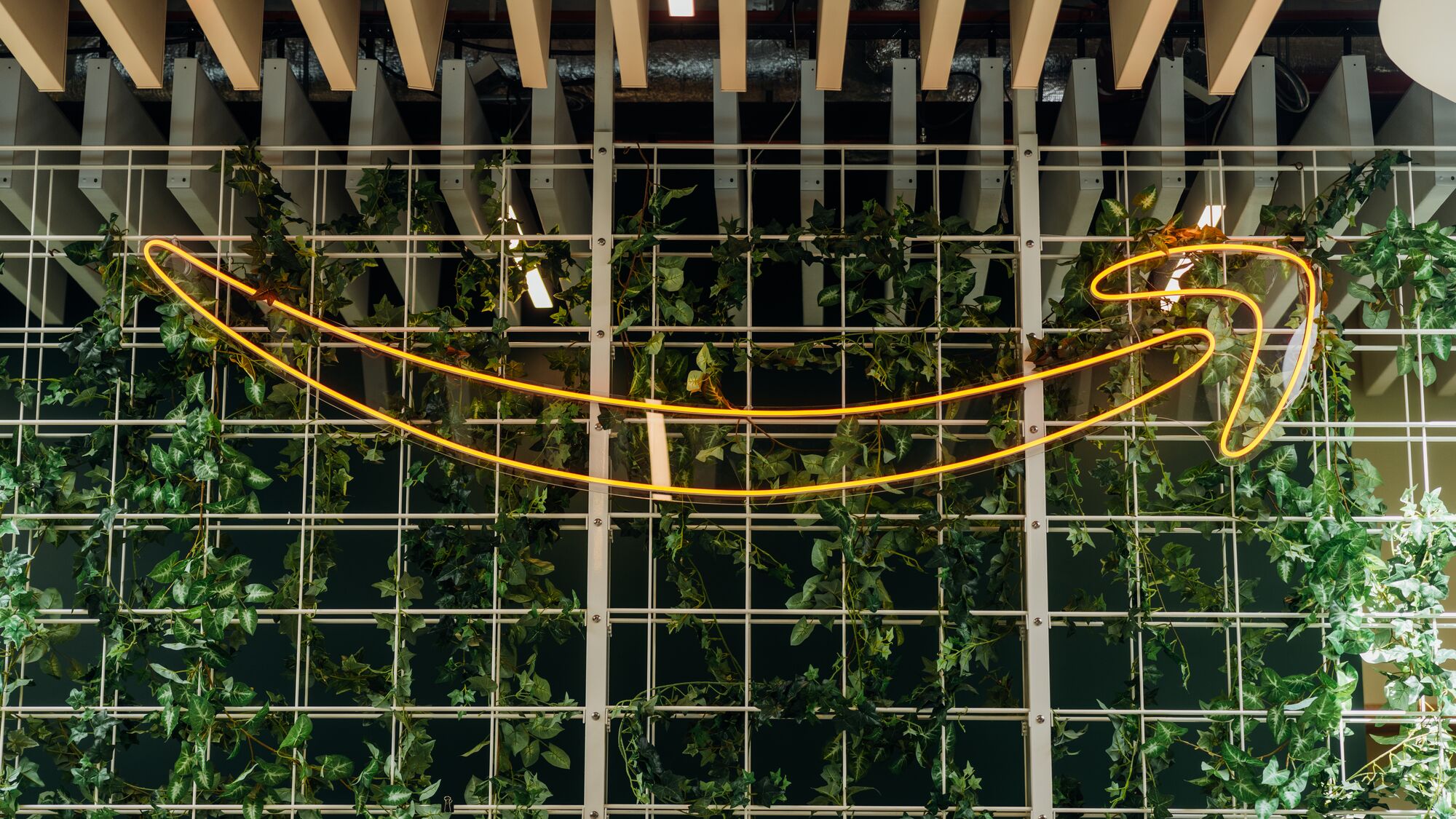 The Amazon smile logo in front of a wall of greenery. 