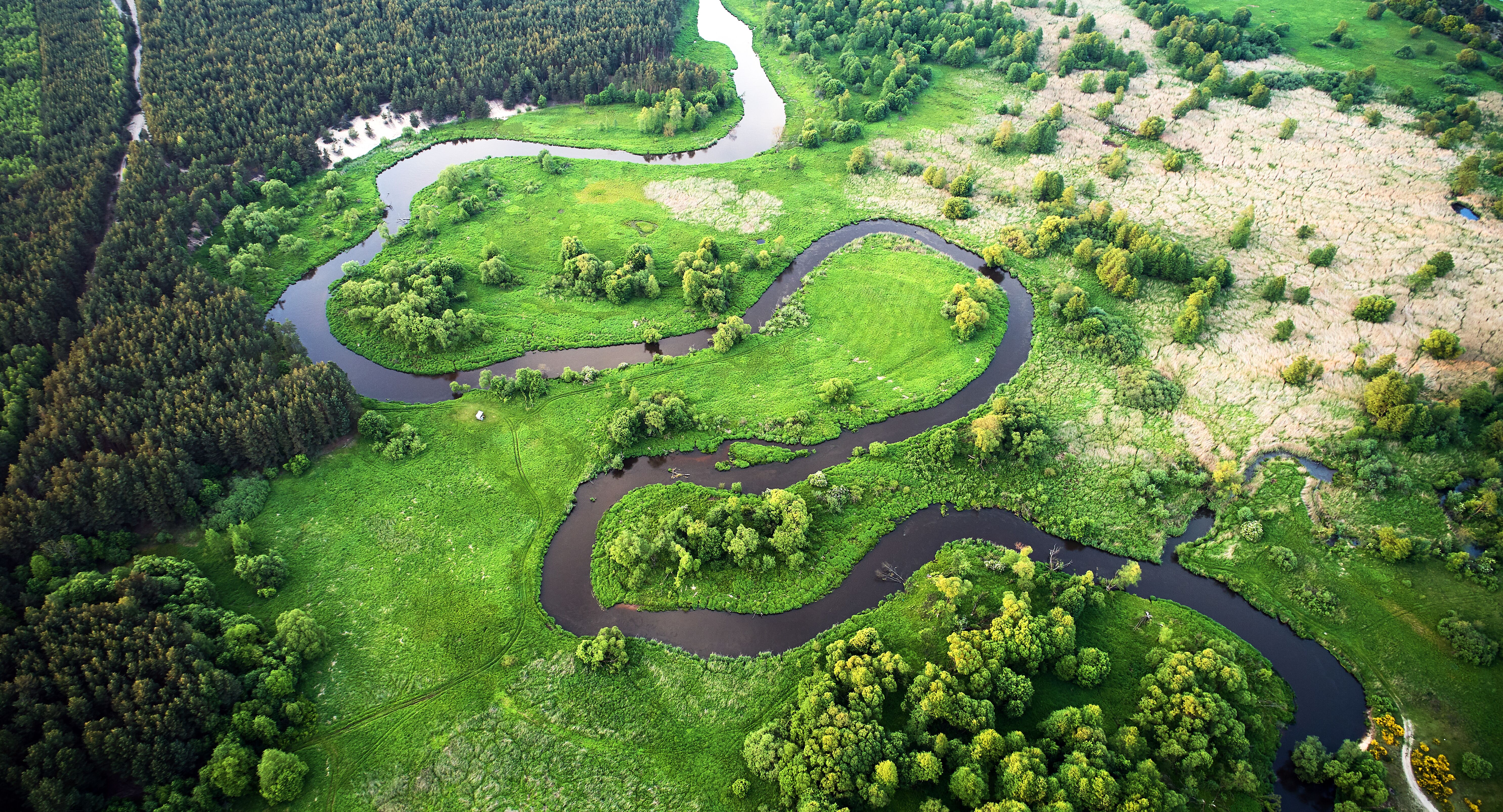 An ariel view of a river flowing through greenery.