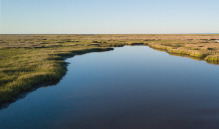 Water surrounded by wetlands