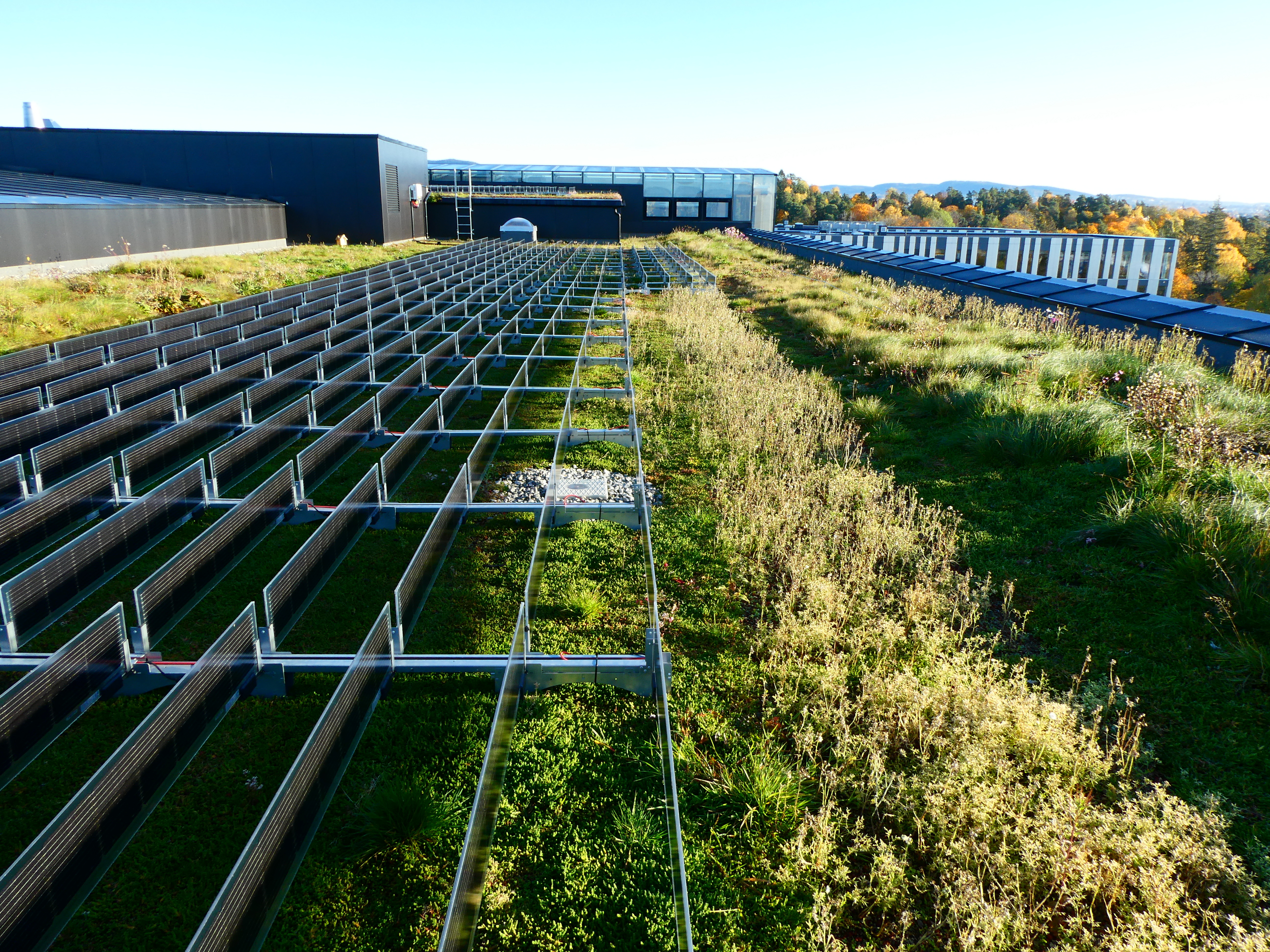 Rows of panels sit in a green field. 