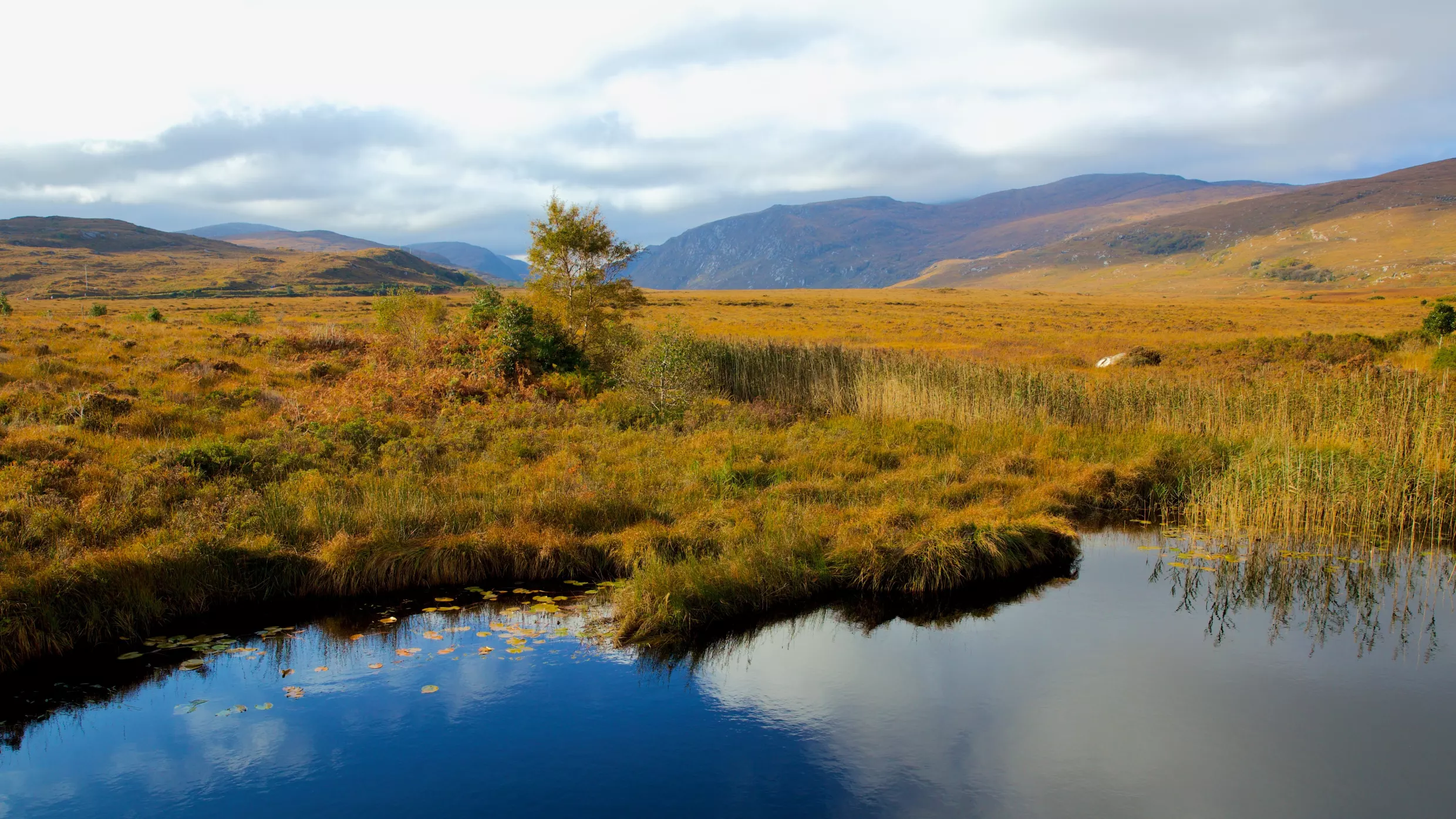 A vast peatland landscape is shown at sunset.