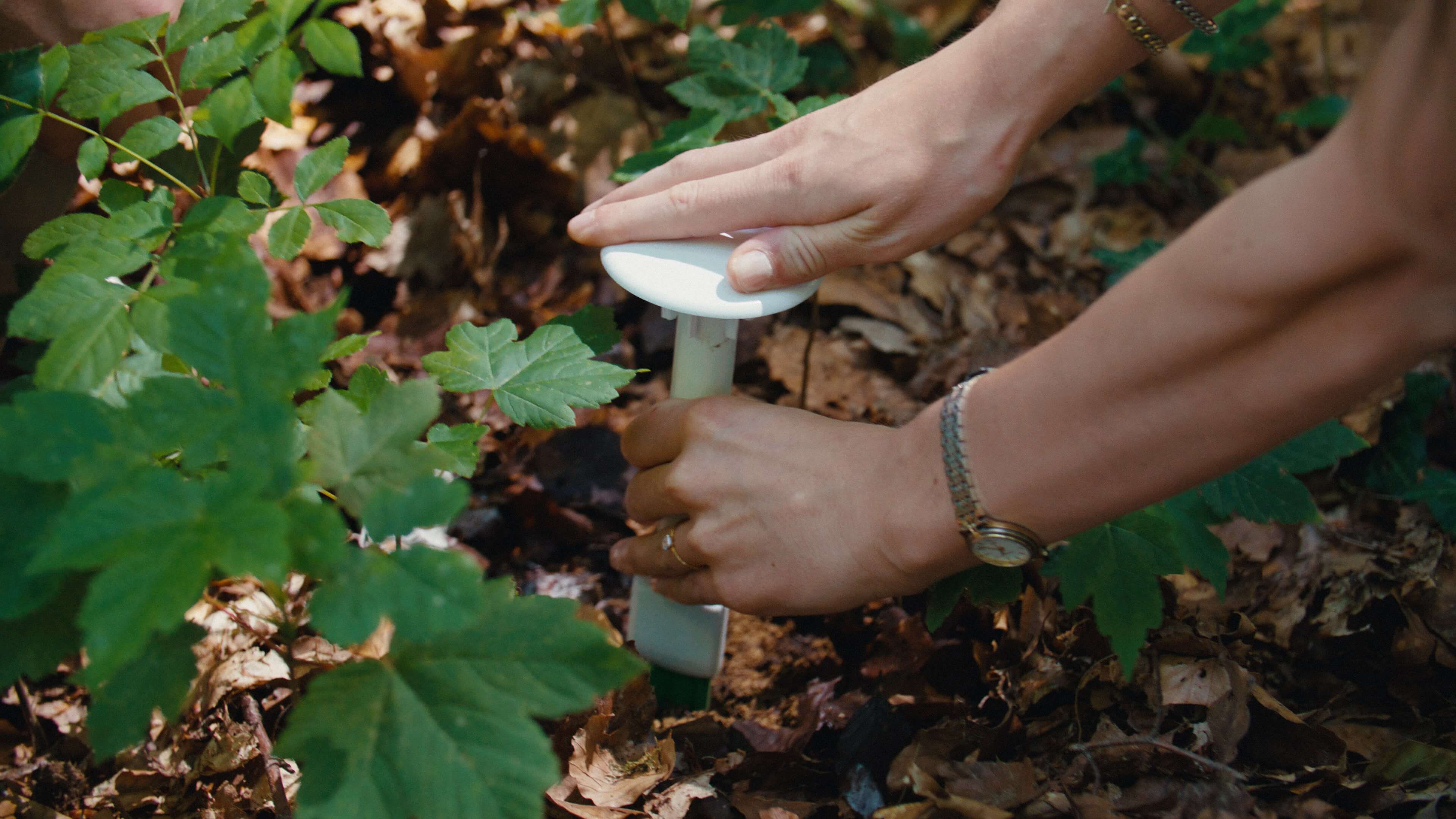 A pair of hands push a device into the ground. 