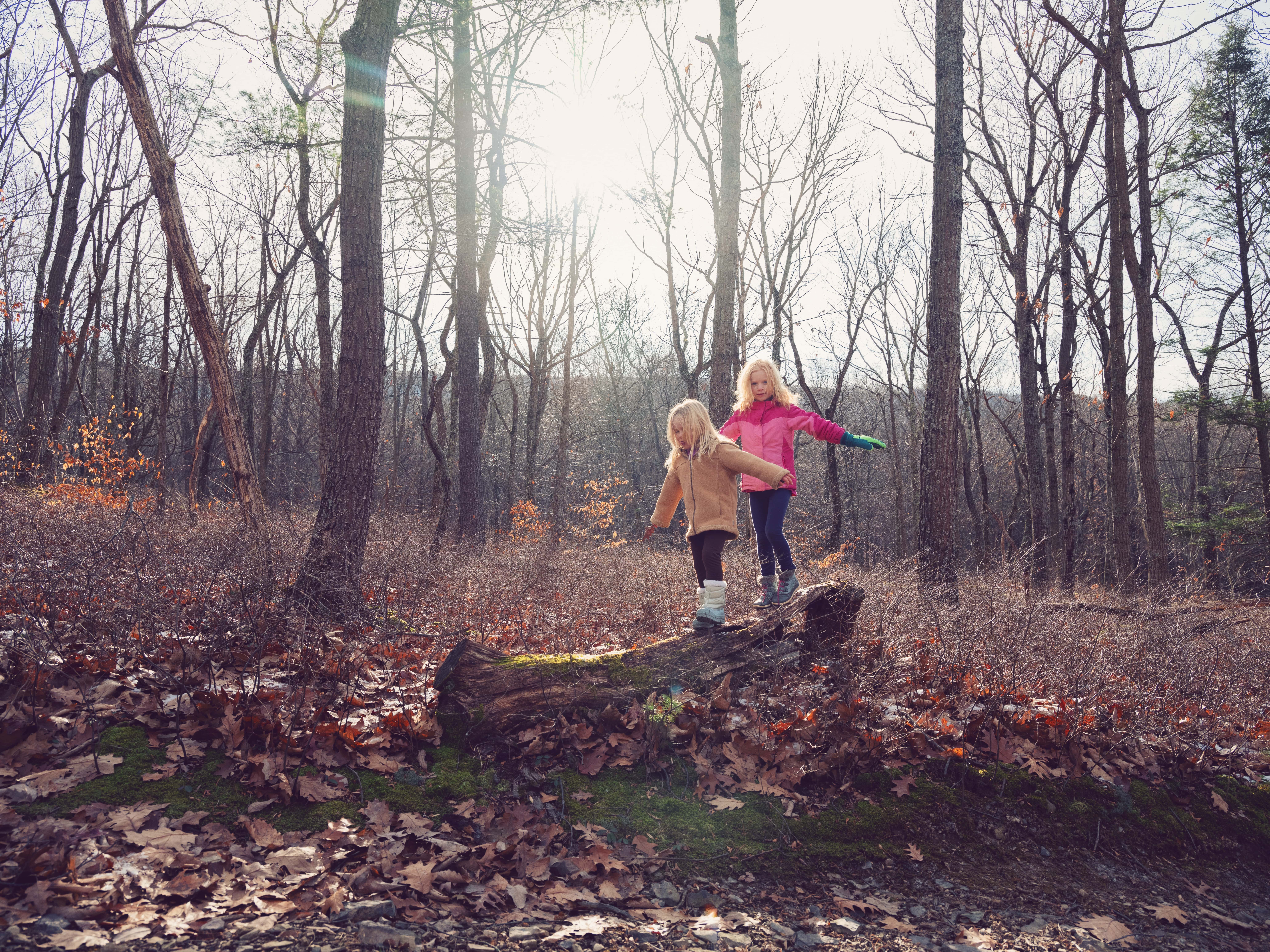 Two children play on a log in a forest with leaves on the ground.