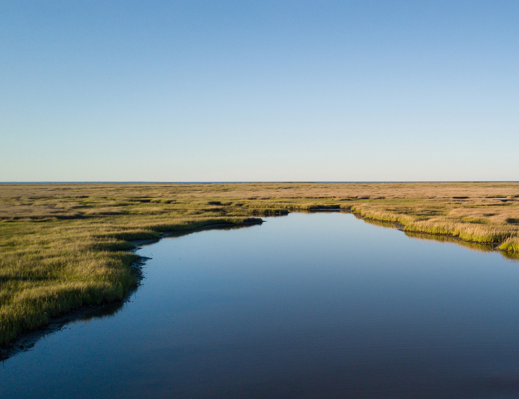A photo of a body of water surrounded by grasses. 