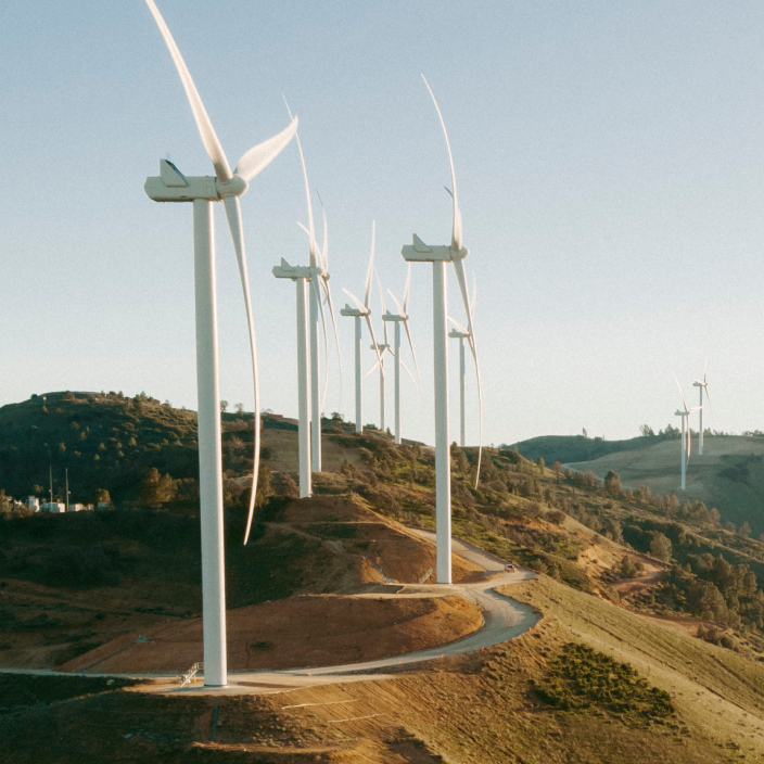 Rows of wind turbines on a hill with blue skies.