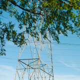 Power lines photographed through greenery. 