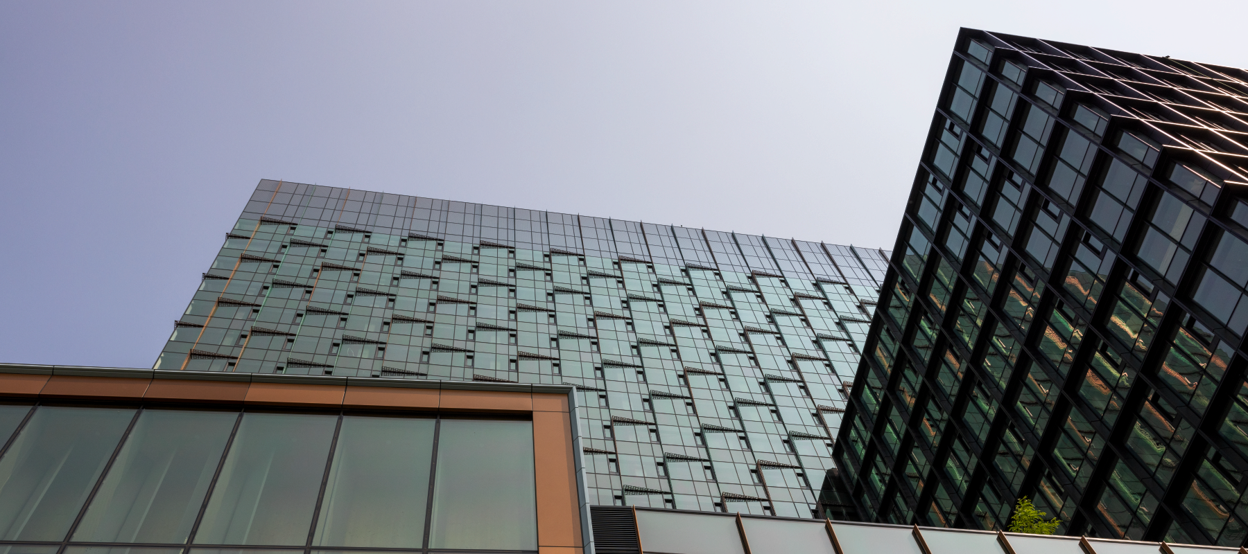 Looking upwards at one of Amazon's corporate buildings. 