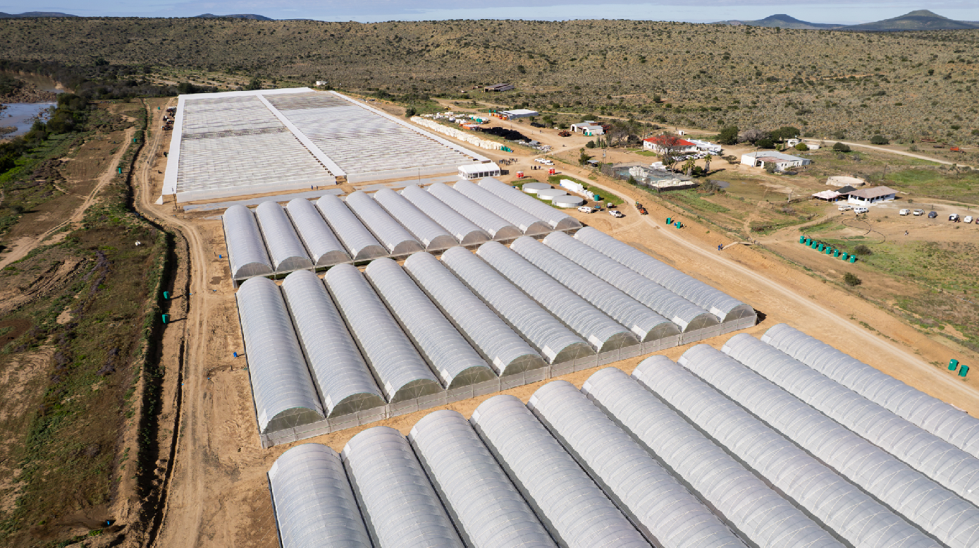 An aerial view of a dry landscape lined with rows of greenhouses. 