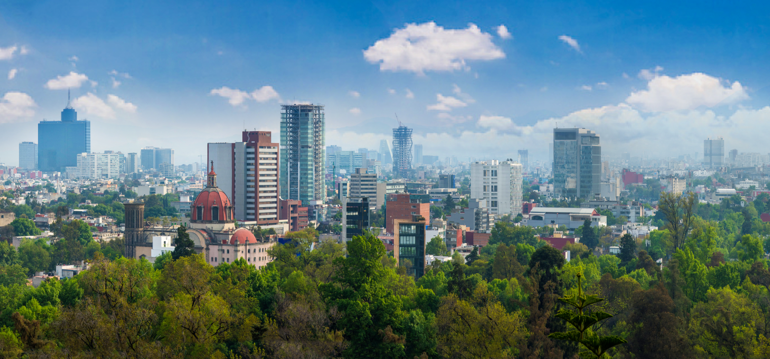 A wide shot of a city behind scattered trees with blue skies above. 