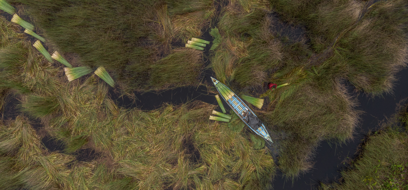 A boat winds its way through grassy waterways. 