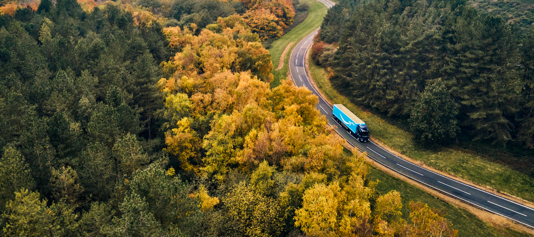 A blue 18-wheeler truck drives on a road through a heavily forested area. 