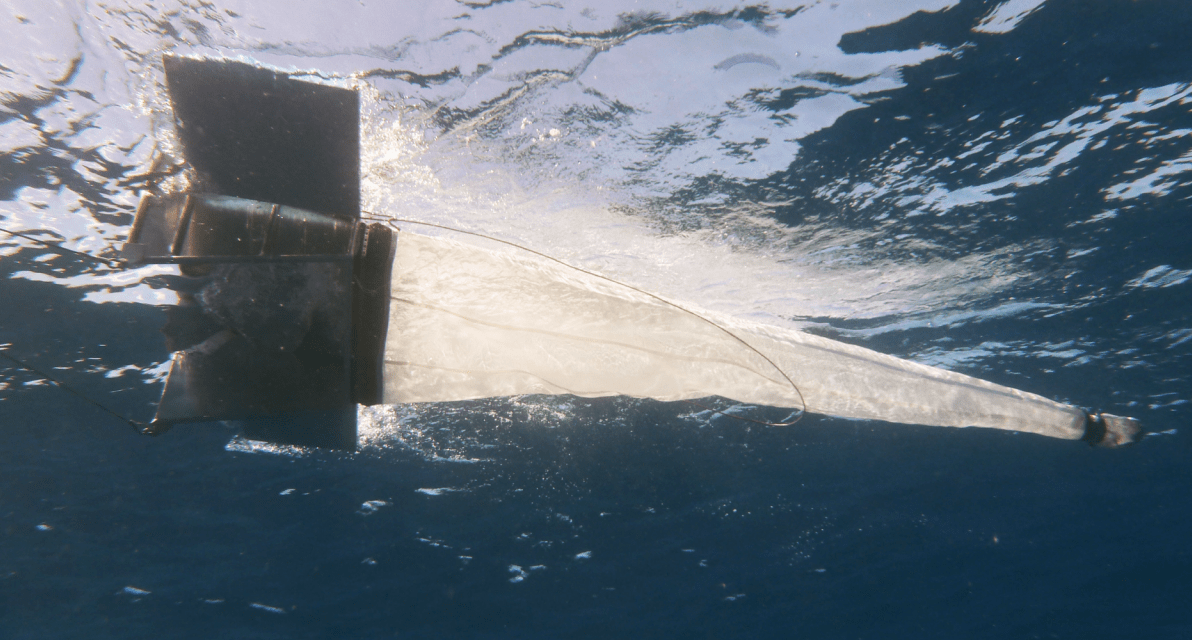 A large object floats at the surface of the water. 