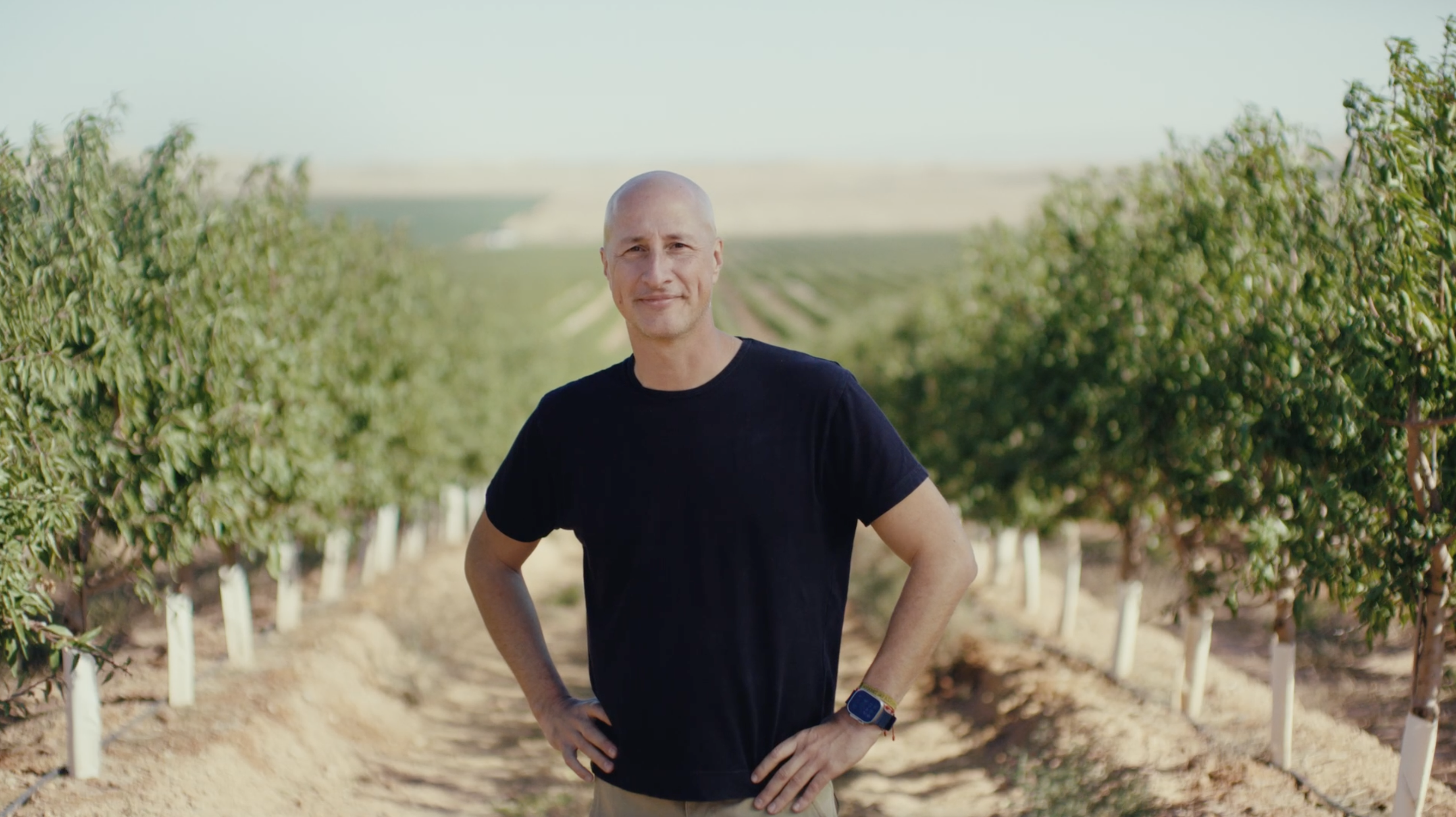 A person looks out across a vast field of crops with blue skies above. 