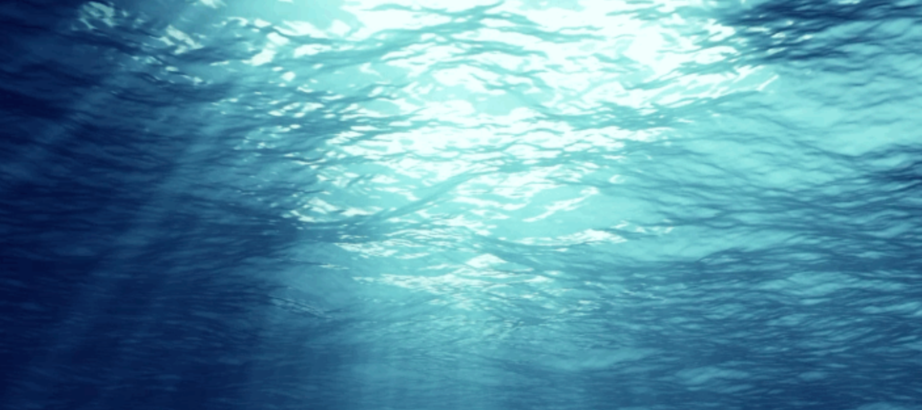 An underwater view of sunshine glimmering at the surface of the ocean. 