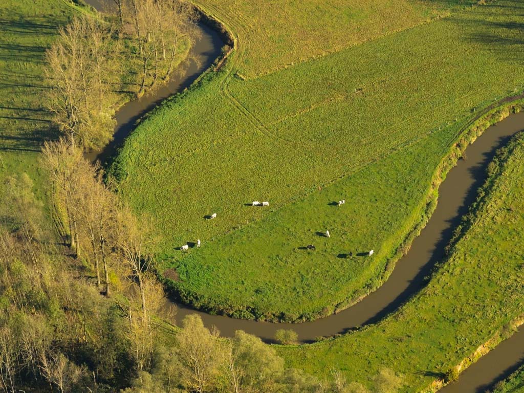 A river winds through green, grassy fields. 