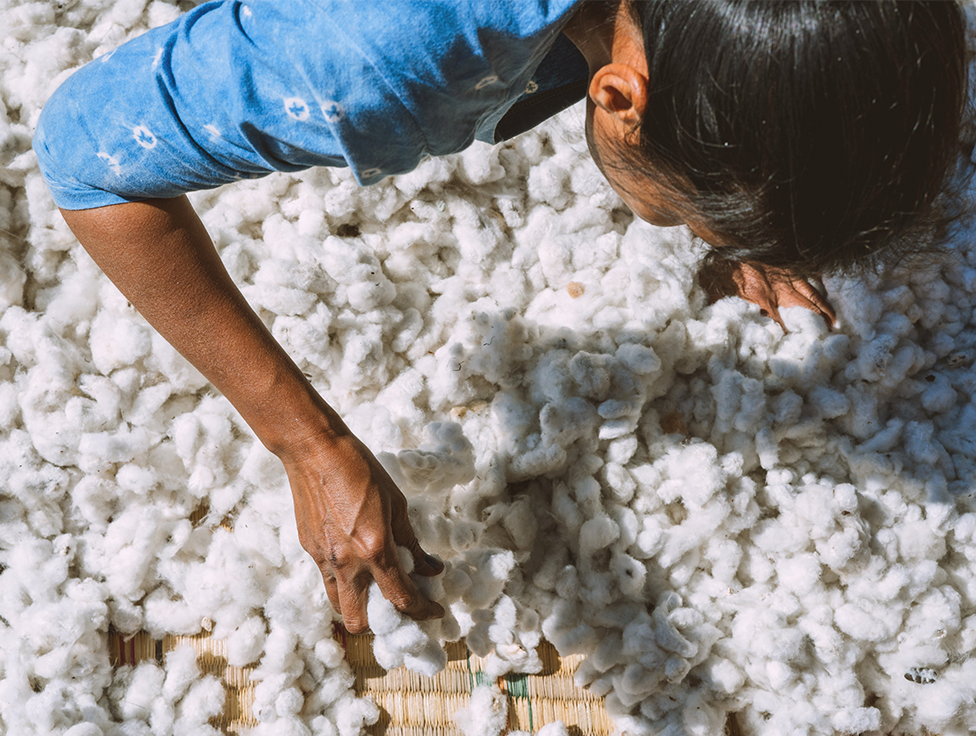 An overhead shot of a person sorting through cotton.